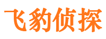 大理侦探公司